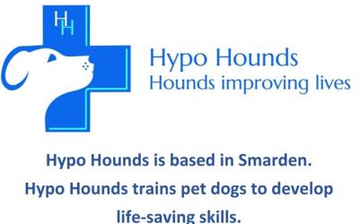 Hypo Hounds