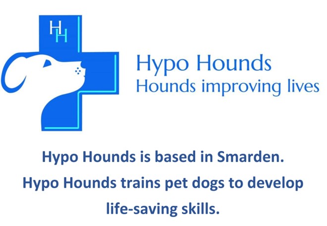 Hypo Hounds